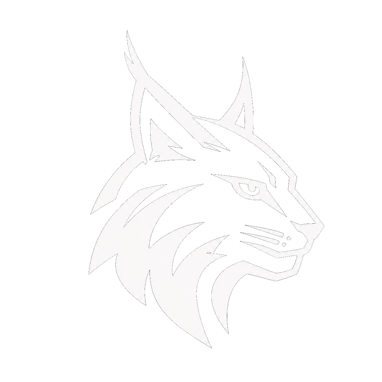Lynx Safety
